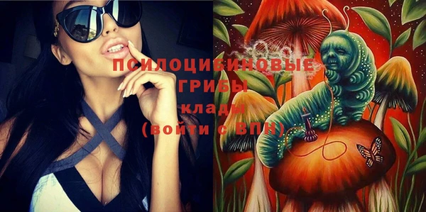 дмт Белокуриха