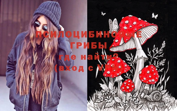 дмт Белокуриха