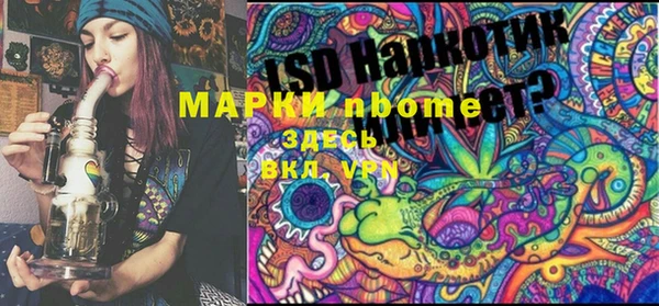 гашик Гусь-Хрустальный