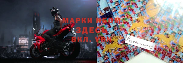 дмт Белокуриха
