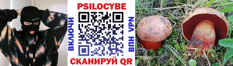 Псилоцибиновые грибы ЛСД  закладка  Наволоки 